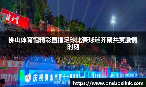 佛山体育馆精彩直播足球比赛球迷齐聚共赏激情时刻