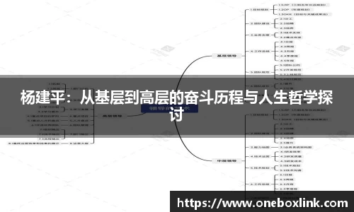 杨建平：从基层到高层的奋斗历程与人生哲学探讨