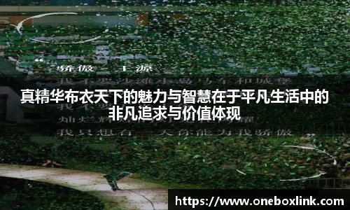 真精华布衣天下的魅力与智慧在于平凡生活中的非凡追求与价值体现
