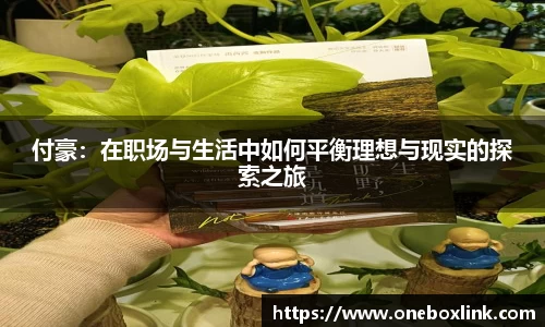 付豪：在职场与生活中如何平衡理想与现实的探索之旅